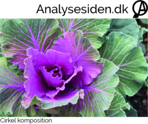 cirkelkomposition